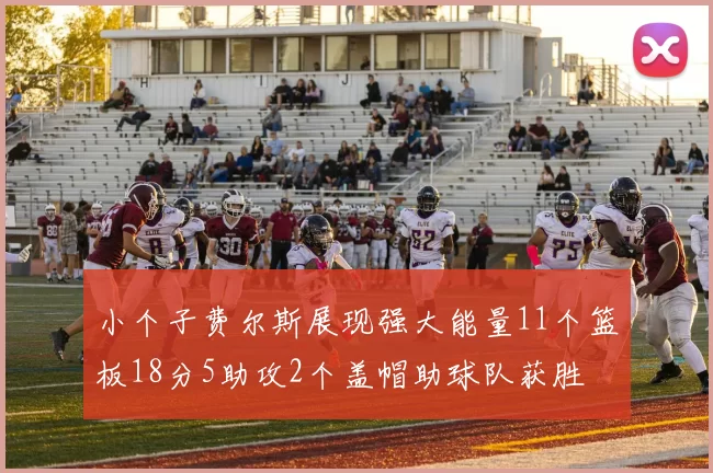 小个子费尔斯展现强大能量11个篮板18分5助攻2个盖帽助球队获胜